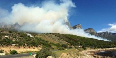 Cape Town firefighters responded to more than 200 vegetation fires this past weekend