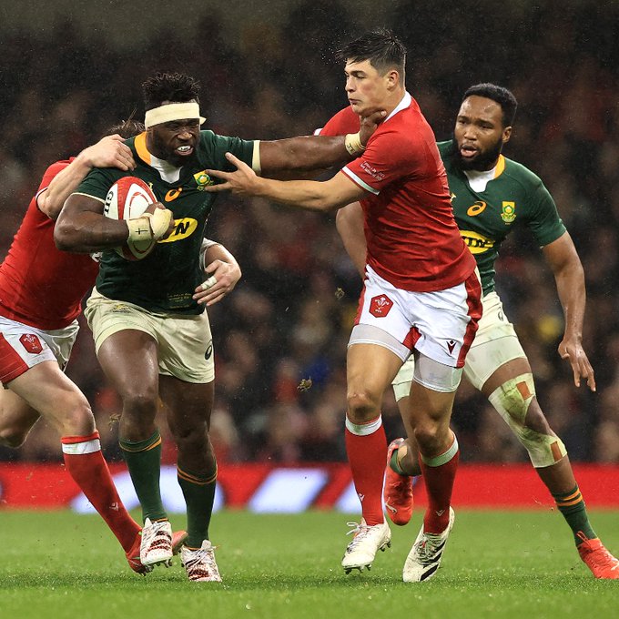 Siya Kolisi carries the ball, holding one Welsh defender on his back, while landing a nasty hand off to another. The Boks will play Wales in 3 matches confirmed in the Springbok schedule for 2022.